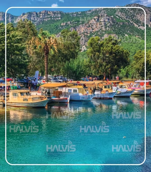  Muğla Antalya Arası Nakliyat