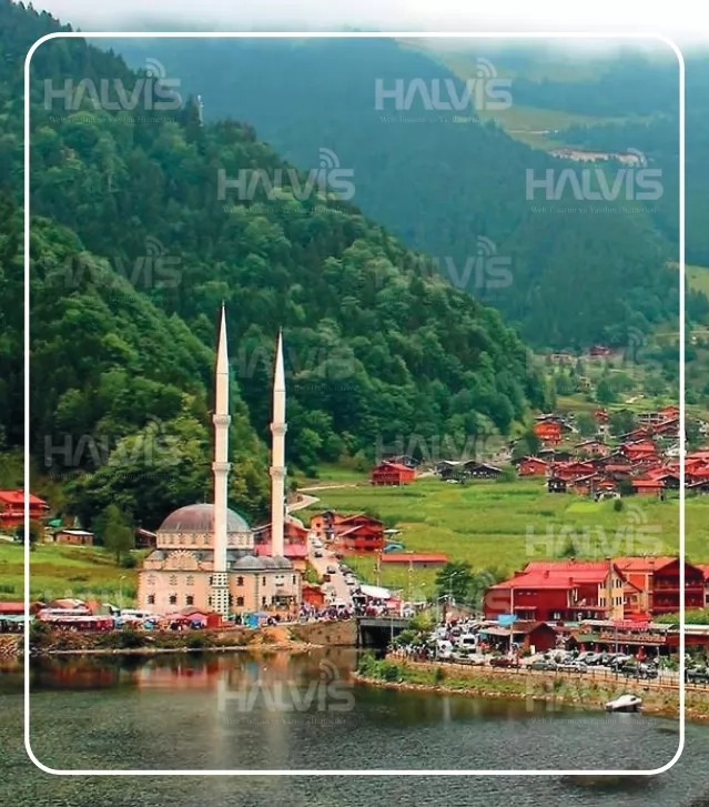 Trabzon Antalya Arası Nakliyat